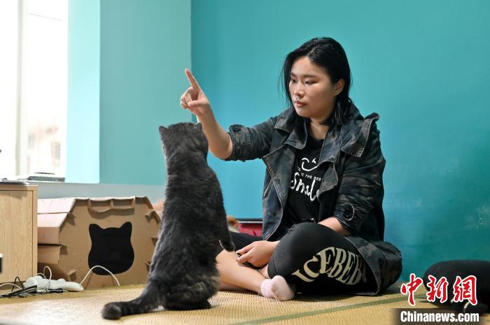 其家中的宠物猫也成了崔静宜的训练对象。　俞靖 摄