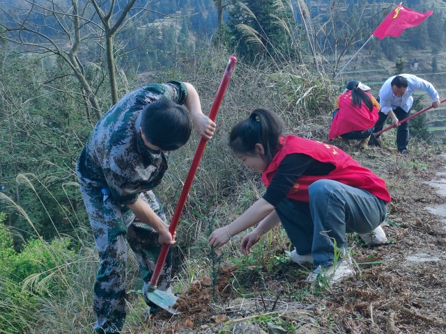 党员干部开展植树活动_副本.jpg