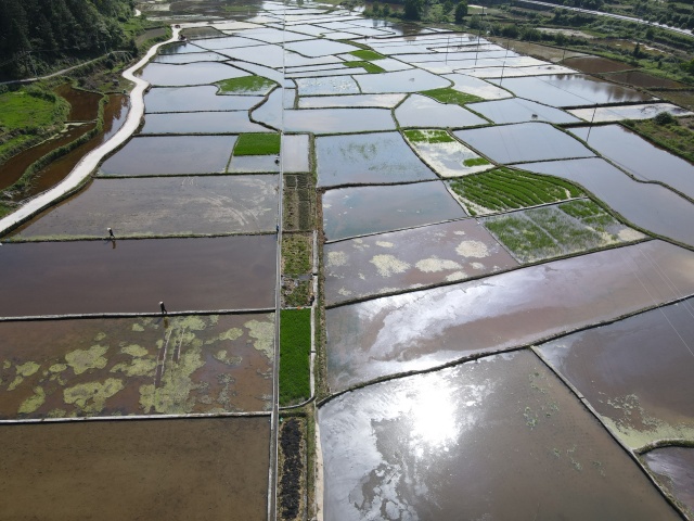 图为党政主要领导和分管领导领办粮食高产示范田路团坝区图_副本.jpg