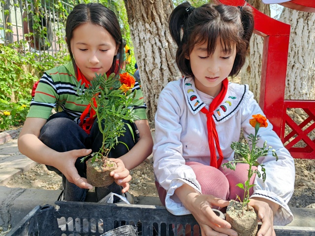 3.孩子们自己动手种植花卉-克拉玛依市白碱滩区三平路街道振兴社区 杨雨婷 供稿  联系电话：18009903291 审核人：刘祥贞_副本.jpg