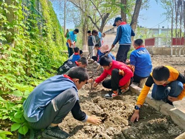 4.孩子们仔细认真的种植花卉-克拉玛依市白碱滩区三平路街道振兴社区 杨雨婷 供稿  联系电话：18009903291 审核人：刘祥贞_副本.jpg