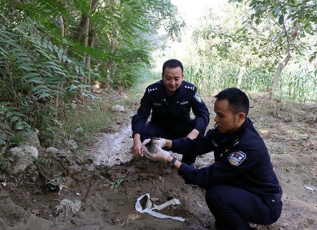 新疆叶城：警民爱心接力 及时救助国家三有保护动物“黑水鸡”_副本.jpg